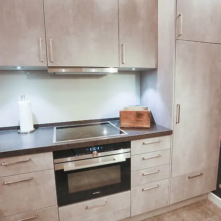 Soenshoern Tatil Evi Munkmarsch